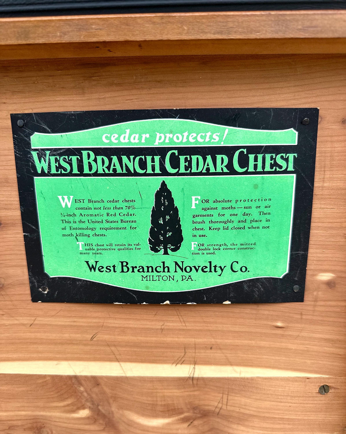Antique Early 20th Century West Branch Cedar Trunk Lift Top Storage Entry Bench | Raised Wood Chest 45" Wide